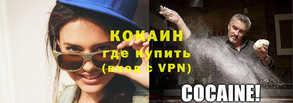 стафф Дмитровск