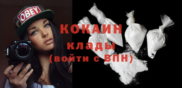 стафф Дмитровск