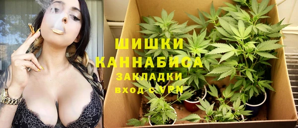 apvp Дмитриев