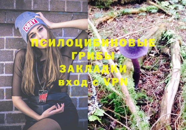 mdma Дмитров