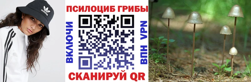 Псилоцибиновые грибы мухоморы  Купить  Щёлково 